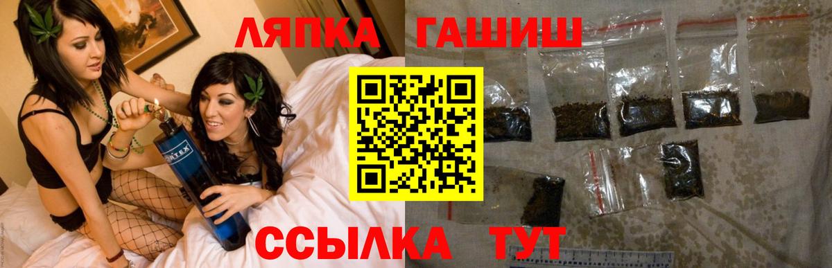 ГАШ Premium  ГАШ VHQ  Владикавказ  Вход с VPN 