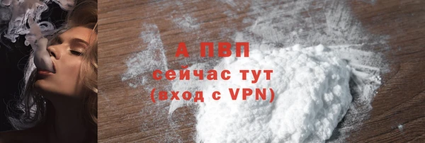 спиды Горно-Алтайск