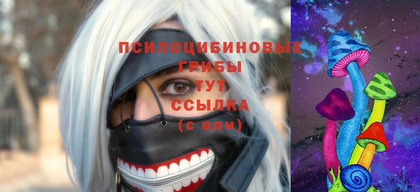 ГАЛЛЮЦИНОГЕННЫЕ ГРИБЫ Горнозаводск