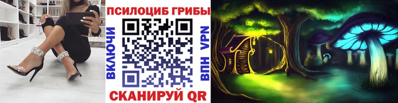 Псилоцибиновые грибы мицелий  Владикавказ 