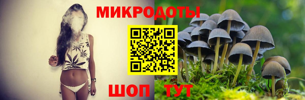 Галлюциногенные грибы прущие грибы  Псилоцибиновые грибы Psilocybine cubensis  Владикавказ  Вход с VPN 